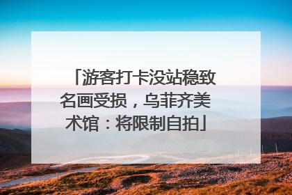 游客打卡没站稳致名画受损，乌菲齐美术馆：将限制自拍