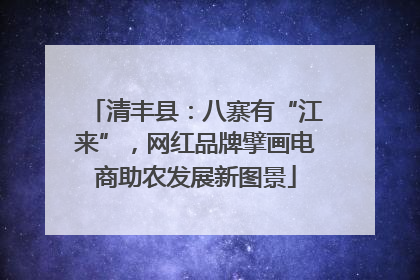 清丰县：八寨有“江来”，网红品牌擘画电商助农发展新图景