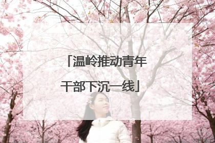 温岭推动青年干部下沉一线
