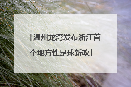 温州龙湾发布浙江首个地方性足球新政