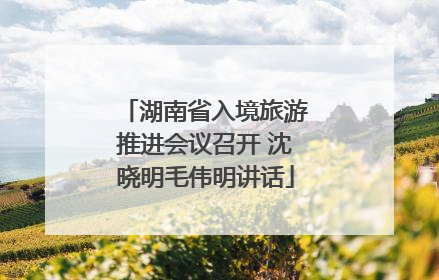 湖南省入境旅游推进会议召开 沈晓明毛伟明讲话