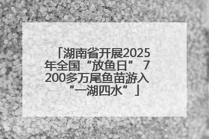 湖南省开展2025年全国“放鱼日” 7200多万尾鱼苗游入“一湖四水”