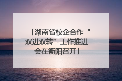 湖南省校企合作“双进双转”工作推进会在衡阳召开