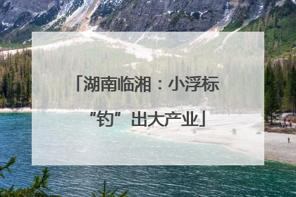湖南临湘：小浮标“钓”出大产业