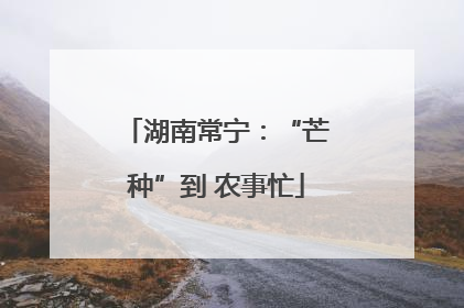 湖南常宁：“芒种”到 农事忙
