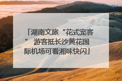 湖南文旅“花式宠客” 游客抵长沙黄花国际机场可看湘味快闪