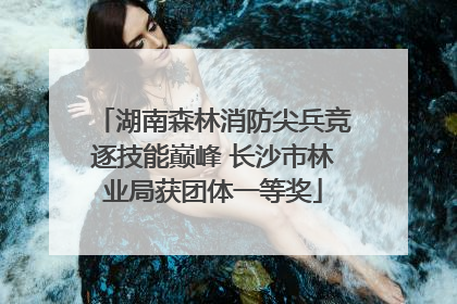 湖南森林消防尖兵竞逐技能巅峰 长沙市林业局获团体一等奖