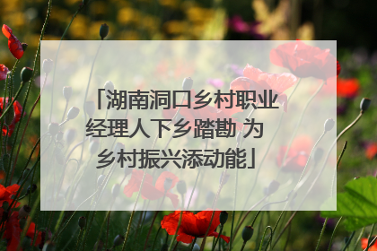 湖南洞口乡村职业经理人下乡踏勘 为乡村振兴添动能