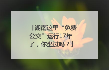 湖南这里“免费公交”运行17年了，你坐过吗？