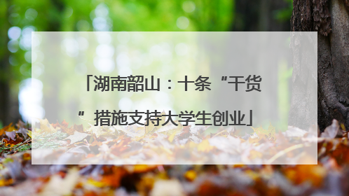 湖南韶山：十条“干货”措施支持大学生创业