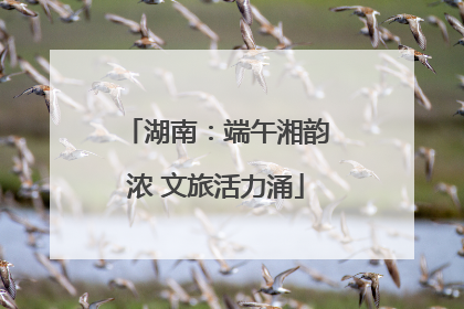 湖南：端午湘韵浓 文旅活力涌