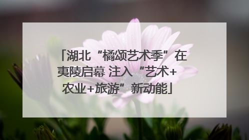 湖北“橘颂艺术季”在夷陵启幕 注入“艺术+农业+旅游”新动能