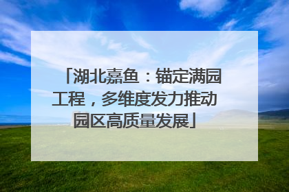 湖北嘉鱼：锚定满园工程，多维度发力推动园区高质量发展