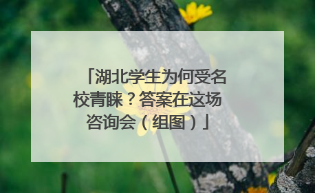 湖北学生为何受名校青睐？答案在这场咨询会（组图）