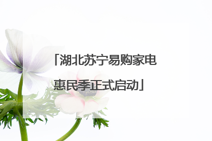 湖北苏宁易购家电惠民季正式启动