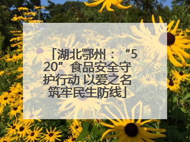 湖北鄂州：“520”食品安全守护行动 以爱之名筑牢民生防线