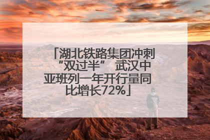 湖北铁路集团冲刺“双过半” 武汉中亚班列一年开行量同比增长72%