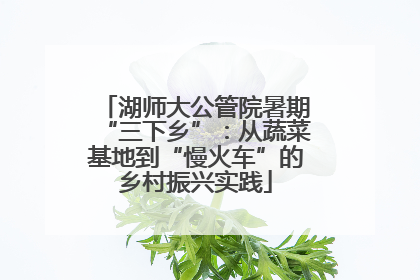 湖师大公管院暑期“三下乡”：从蔬菜基地到“慢火车”的乡村振兴实践