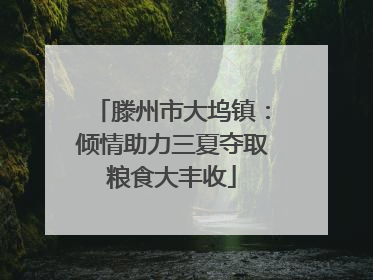 滕州市大坞镇：倾情助力三夏夺取粮食大丰收
