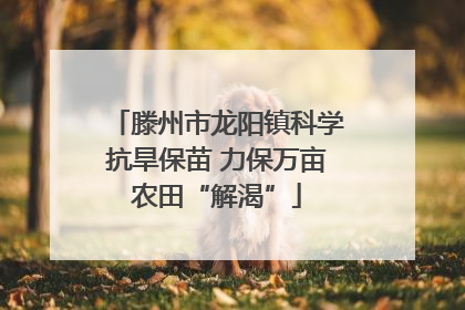 滕州市龙阳镇科学抗旱保苗 力保万亩农田“解渴”