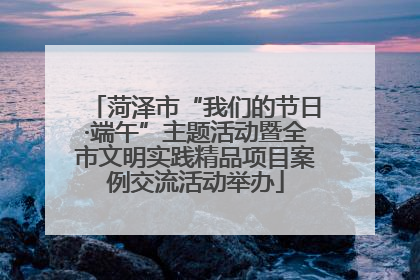 菏泽市“我们的节日·端午”主题活动暨全市文明实践精品项目案例交流活动举办