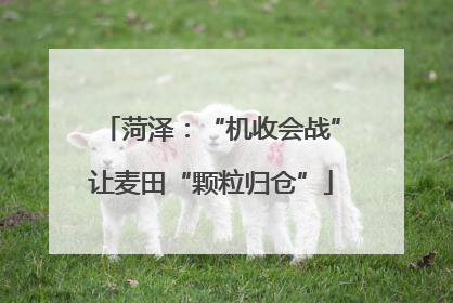 菏泽：“机收会战”让麦田“颗粒归仓”