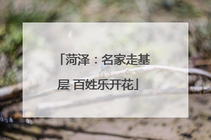 菏泽：名家走基层 百姓乐开花