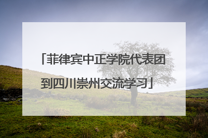菲律宾中正学院代表团到四川崇州交流学习