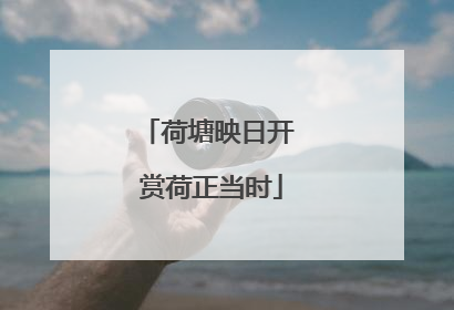 荷塘映日开 赏荷正当时
