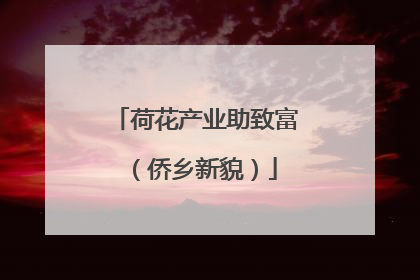 荷花产业助致富（侨乡新貌）