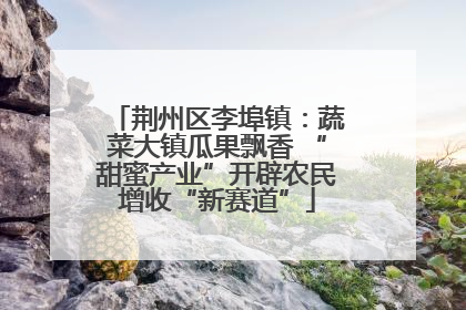 荆州区李埠镇：蔬菜大镇瓜果飘香 “甜蜜产业”开辟农民增收“新赛道”