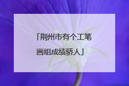 荆州市有个工笔画组成绩骄人