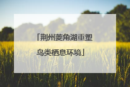 荆州菱角湖重塑鸟类栖息环境