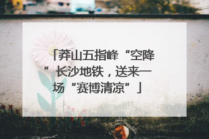 莽山五指峰“空降”长沙地铁，送来一场“赛博清凉”