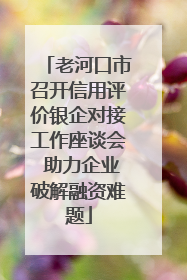 老河口市召开信用评价银企对接工作座谈会 助力企业破解融资难题