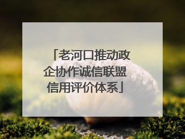 老河口推动政企协作诚信联盟信用评价体系