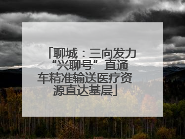 聊城：三向发力 “兴聊号”直通车精准输送医疗资源直达基层