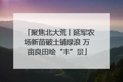 聚焦北大荒丨延军农场新苗破土铺绿浪 万亩良田绘“丰”景
