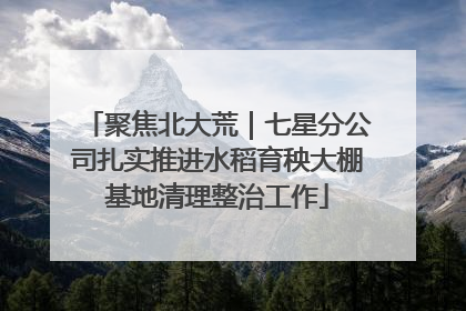 聚焦北大荒｜七星分公司扎实推进水稻育秧大棚基地清理整治工作