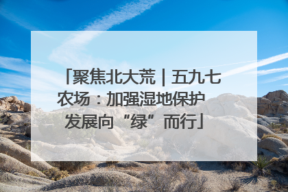 聚焦北大荒｜五九七农场：加强湿地保护 发展向“绿”而行