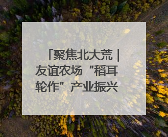 聚焦北大荒｜友谊农场“稻耳轮作”产业振兴“花开两朵”