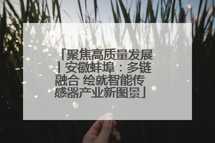 聚焦高质量发展丨安徽蚌埠：多链融合 绘就智能传感器产业新图景