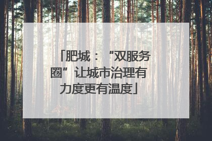 肥城：“双服务圈”让城市治理有力度更有温度