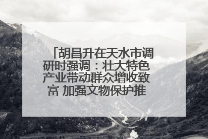 胡昌升在天水市调研时强调：壮大特色产业带动群众增收致富 加强文物保护推动文化创新发展