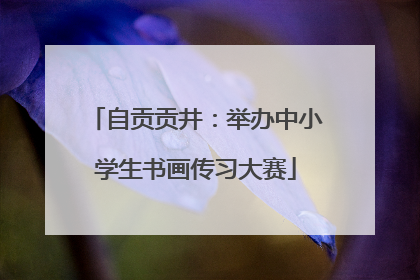 自贡贡井：举办中小学生书画传习大赛