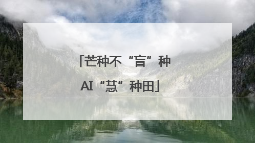 芒种不“盲”种 AI“慧”种田