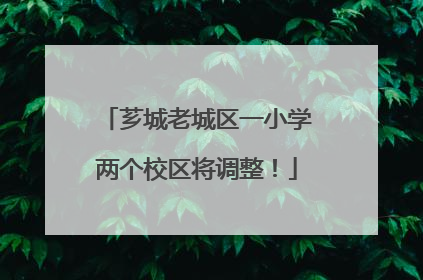 芗城老城区一小学两个校区将调整！