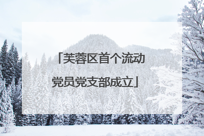 芙蓉区首个流动党员党支部成立