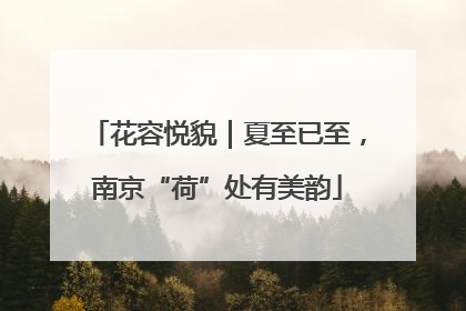 花容悦貌｜夏至已至，南京“荷”处有美韵