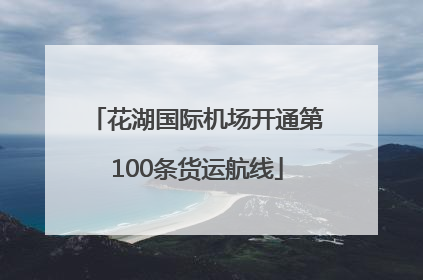 花湖国际机场开通第100条货运航线